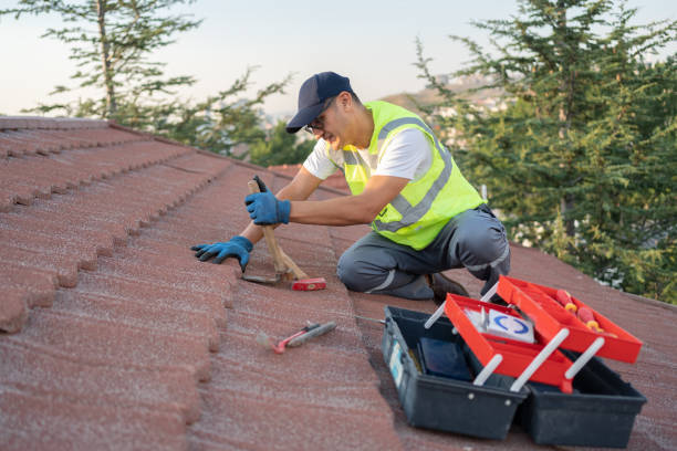Best Emergency Roof Repair  in Pine Ridge, SD