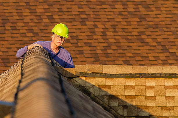 Best Slate Roofing Contractor  in Pine Ridge, SD