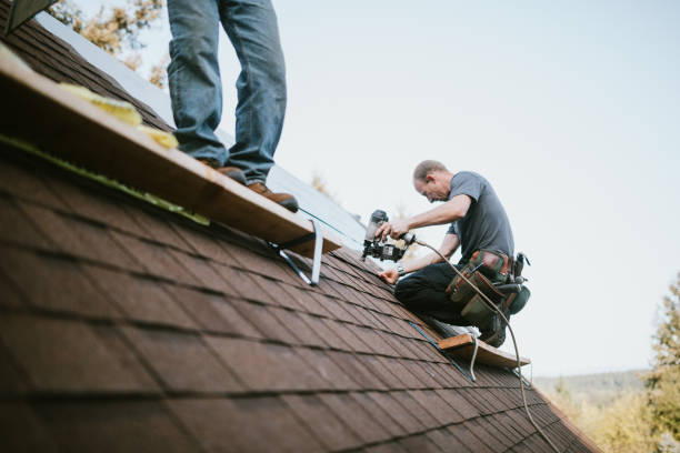 Best Roof Gutter Cleaning  in Pine Ridge, SD